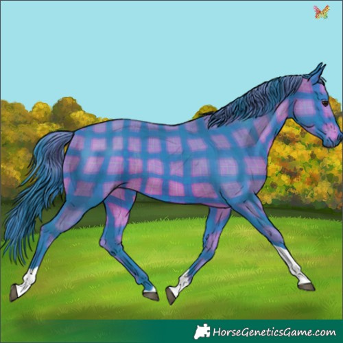 Horse Color:Watercolor Plaid  Brown Tobiano 