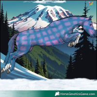 Horse Color:Watercolor Plaid  Brown Tobiano 