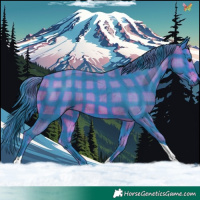 Horse Color:Watercolor Plaid  Brown Tobiano 