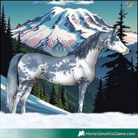 Horse Color:Watercolor Liver Chestnut Splash 