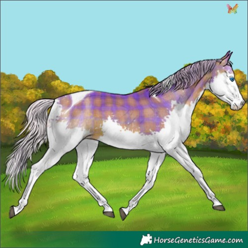 Horse Color:Watercolor Plaid  Silver Brown Splash Tobiano 