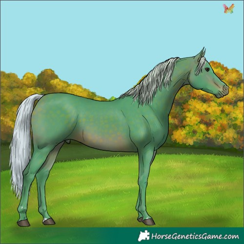 Horse Color:Watercolor Silver Brown 