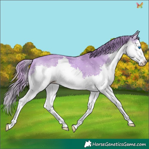 Horse Color:Watercolor Chestnut Splash 