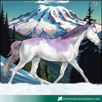 Horse Color:Watercolor Chestnut Splash 