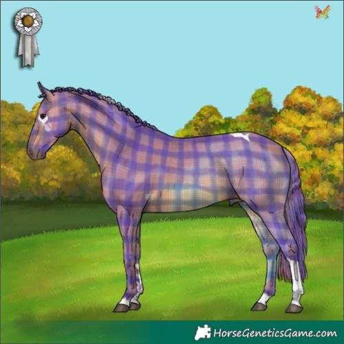 Horse Color:Watercolor Plaid  Bay Tobiano 