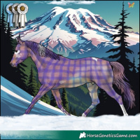 Horse Color:Watercolor Plaid  Bay Tobiano 