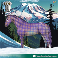 Horse Color:Watercolor Plaid Bay Tobiano