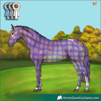 Horse Color:Watercolor Plaid  Bay Tobiano 