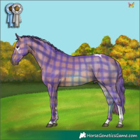 Horse Color:Watercolor Plaid  Bay Tobiano 