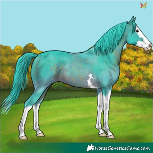 Horse Color:Watercolor Brown Splash 