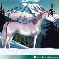 Horse Color:Watercolor Red Onyx Splash