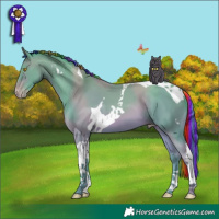 Horse Color:Painted Watercolor Sable Champagne Tobiano 