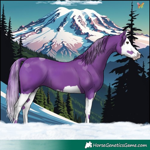 Horse Color:Watercolor Liver Chestnut Splash 