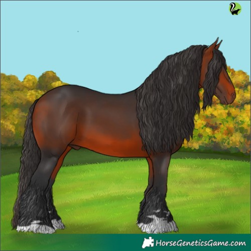 Horse Color:Brown 