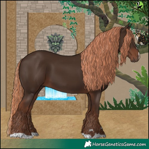 Horse Color:Liver Chestnut 