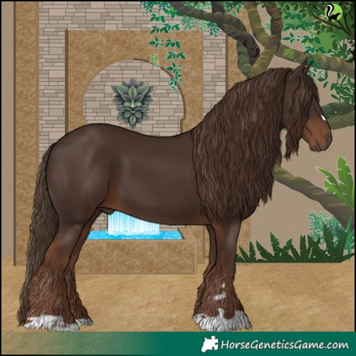 Horse Color:Liver Chestnut 