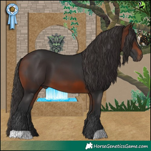 Horse Color:Brown 