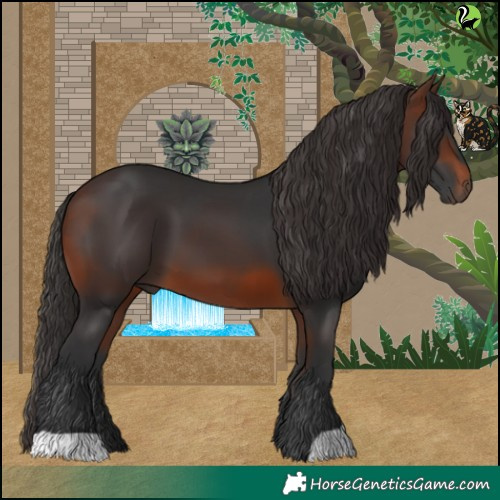 Horse Color:Brown 