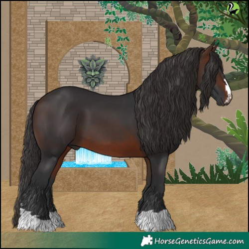 Horse Color:Brown 