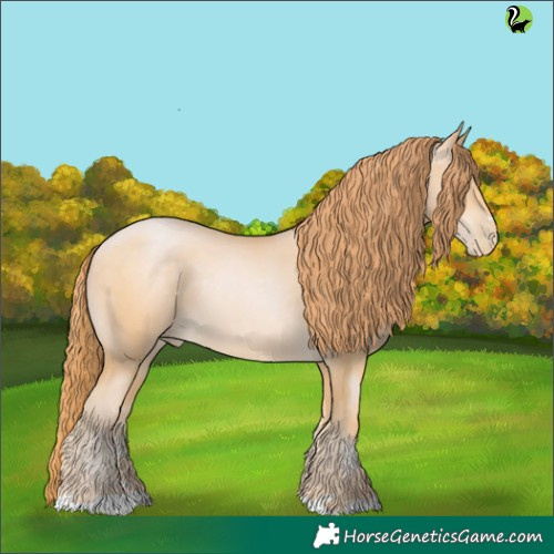 Horse Color:Buckskin Pearl 