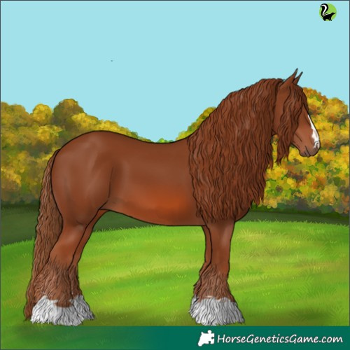 Horse Color:Chestnut 