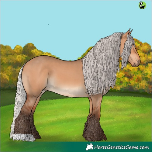 Horse Color:Silver Bay Dun 