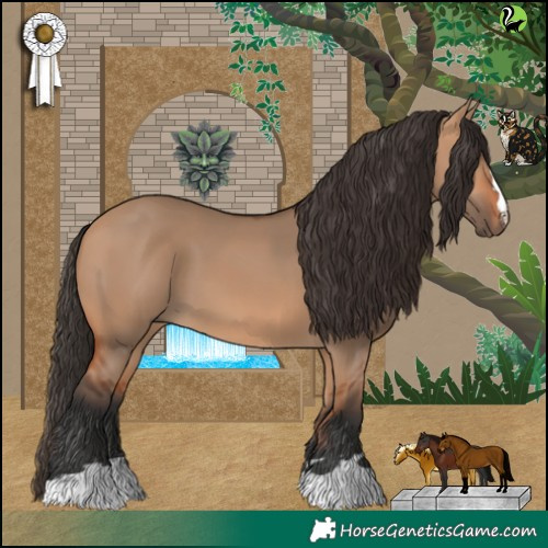 Horse Color:Bay Dun 