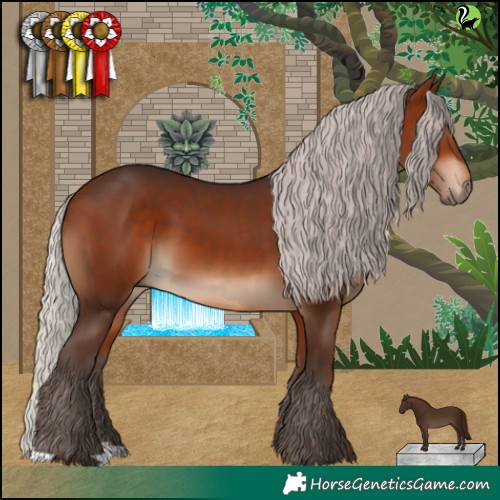 Horse Color:Silver Bay 