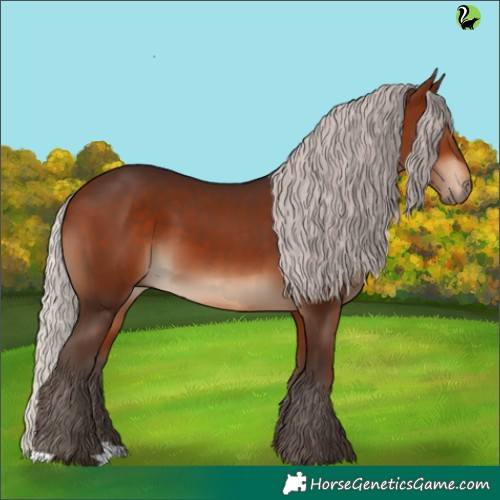 Horse Color:Silver Bay 