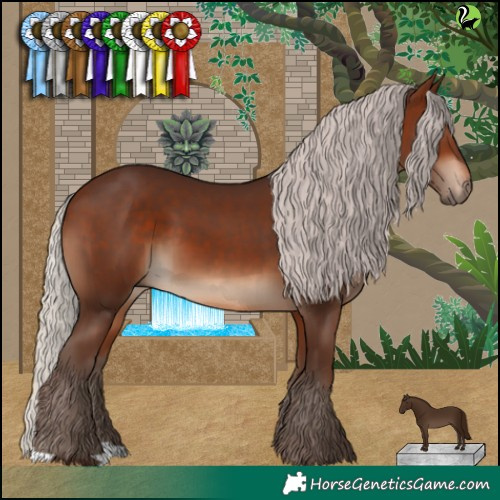 Horse Color:Silver Bay 