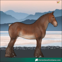 Horse Color:Silver Bay 
