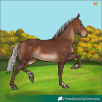 Horse Color:Silver Bay