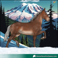 Horse Color:Silver Bay