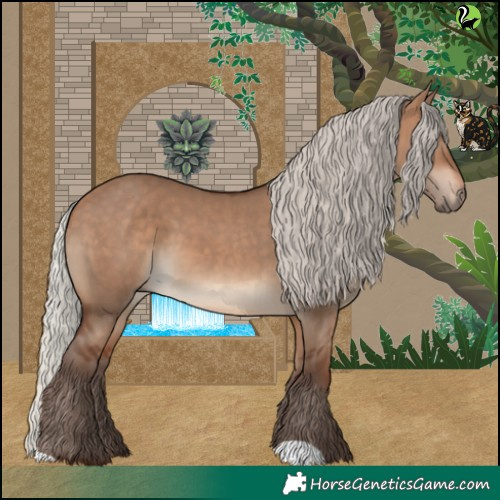 Horse Color:Silver Brown Dun 