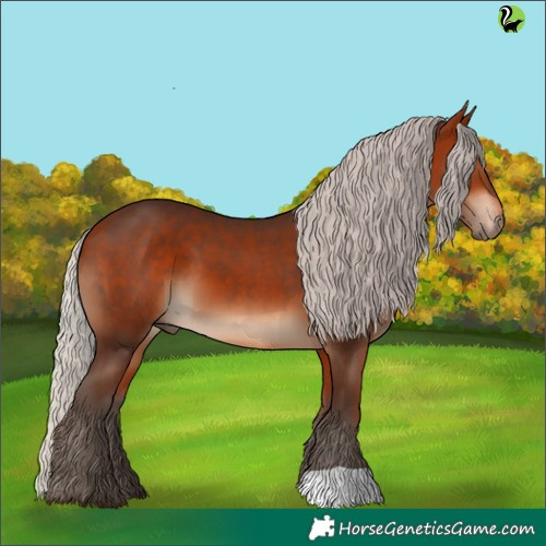 Horse Color:Silver Bay 