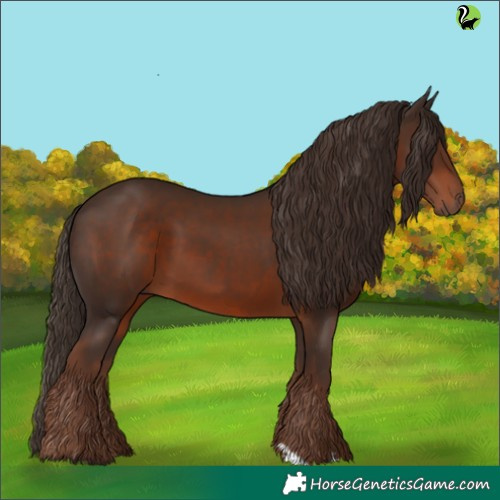 Horse Color:Liver Chestnut 