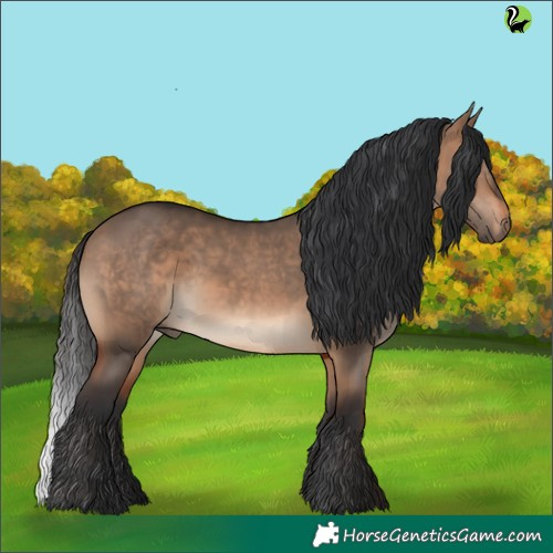 Horse Color:Brown Dun 