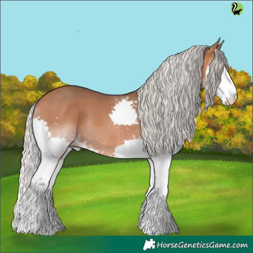Horse Color:Silver Brown Splash 