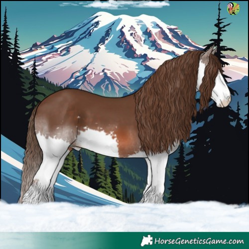 Horse Color:Liver Chestnut Splash 