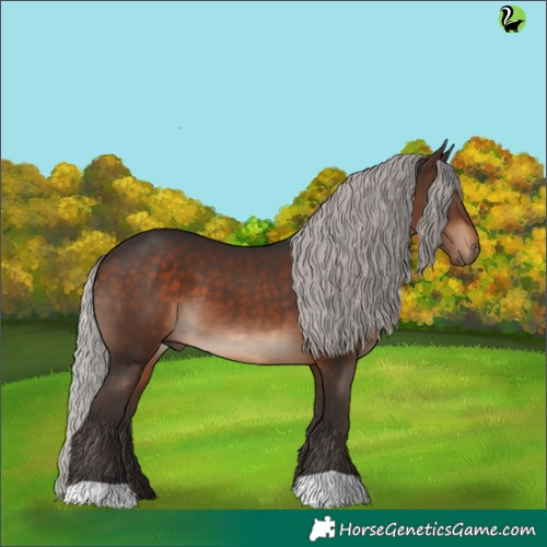Horse Color:Silver Brown 
