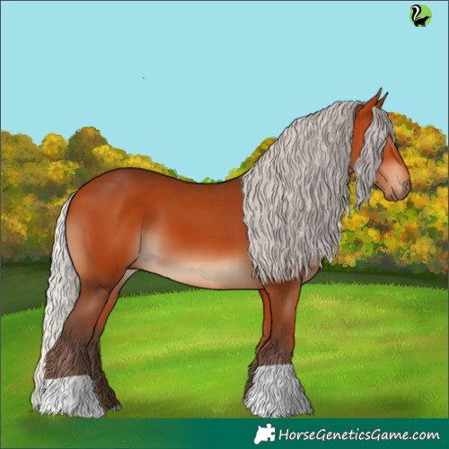 Horse Color:Silver Bay 