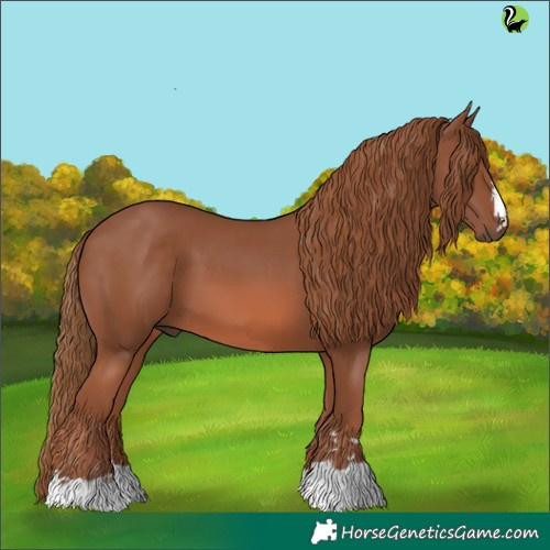 Horse Color:Chestnut 