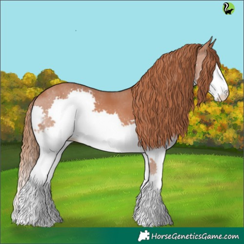 Horse Color:Chestnut Splash 