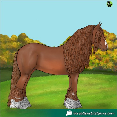 Horse Color:Chestnut 