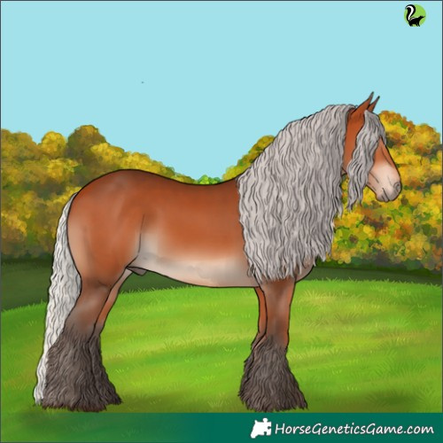 Horse Color:Silver Bay 