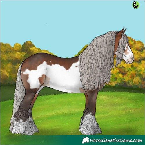 Horse Color:Silver Brown Frame 