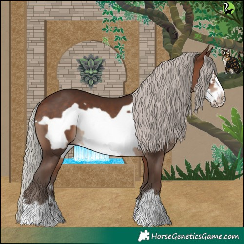 Horse Color:Silver Brown Frame 