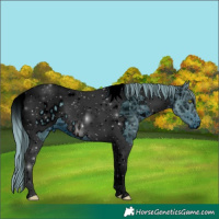 Horse Color:ERROR: UNKNOWN ANOMALY