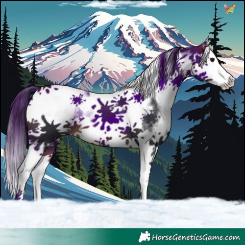 Horse Color:White Spotted Brown Splash Tobiano