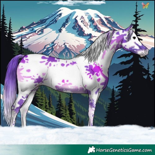 Horse Color:Watercolor Blue Onyx Splash Tobiano 